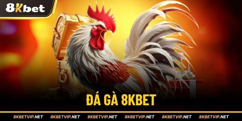 Đá gà 8KBET