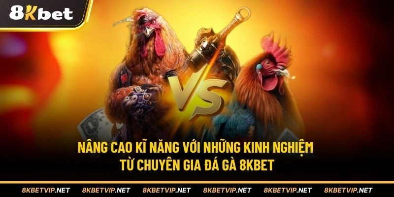 Nâng cao kỹ năng với những kinh nghiệm từ chuyên gia