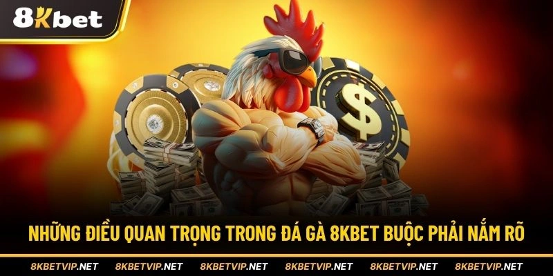 Những điều quan trọng trong đá gà 8KBET buộc phải nắm rõ