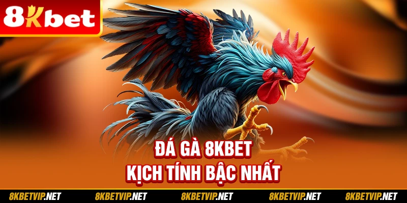 Đá gà 8KBET kịch tính bậc nhất
