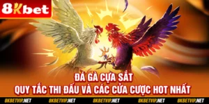 Đá Gà Cựa Sắt - Quy Tắc Thi Đấu Và Các Cửa Cược Hot Nhất