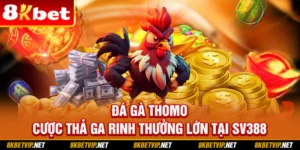 Đá Gà Thomo - Cược Thả Ga Rinh Thưởng Lớn Tại 8KBET