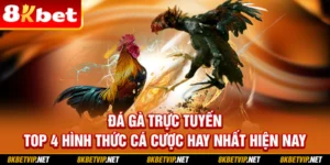 Đá gà trực tuyến mang đến cho người xem những trận đấu kịch tính và nghẹt thở. Khi tham gia, thành viên sẽ được chứng kiến những chiến kê tranh tài trên sàn đấu. Cùng 8KBET đọc bài sau để khám phá những dạng cược cực hot tại đây nhé.