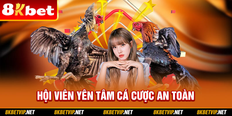 Hội viên yên tâm cá cược an toàn