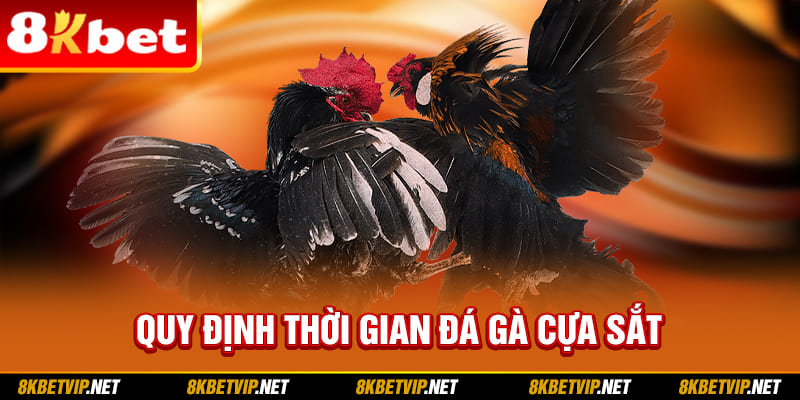 Quy định thời gian đá gà cựa sắt