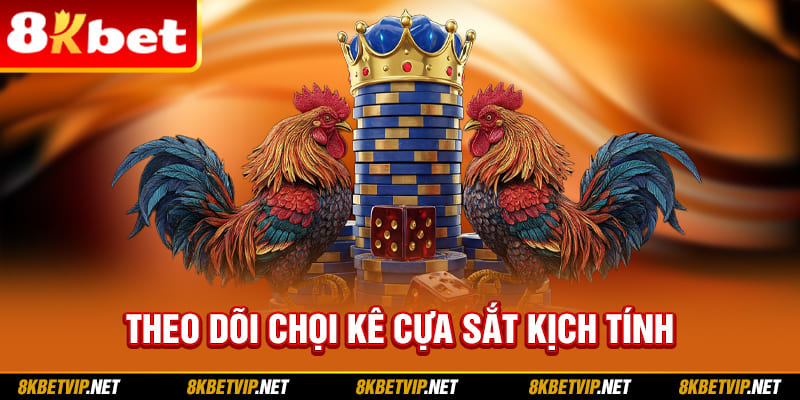 Theo dõi chọi kê cựa sắt kịch tính