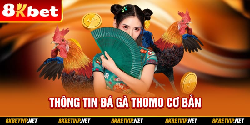 Thông tin đá gà Thomo cơ bản