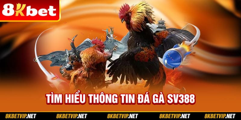 Tìm hiểu thông tin Đá gà SV388